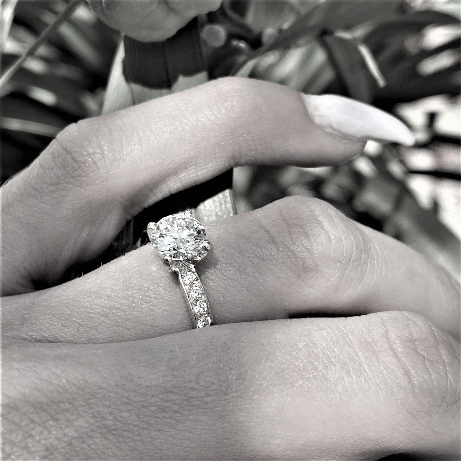 טבעת יהלומים "לנה" זהב לבן