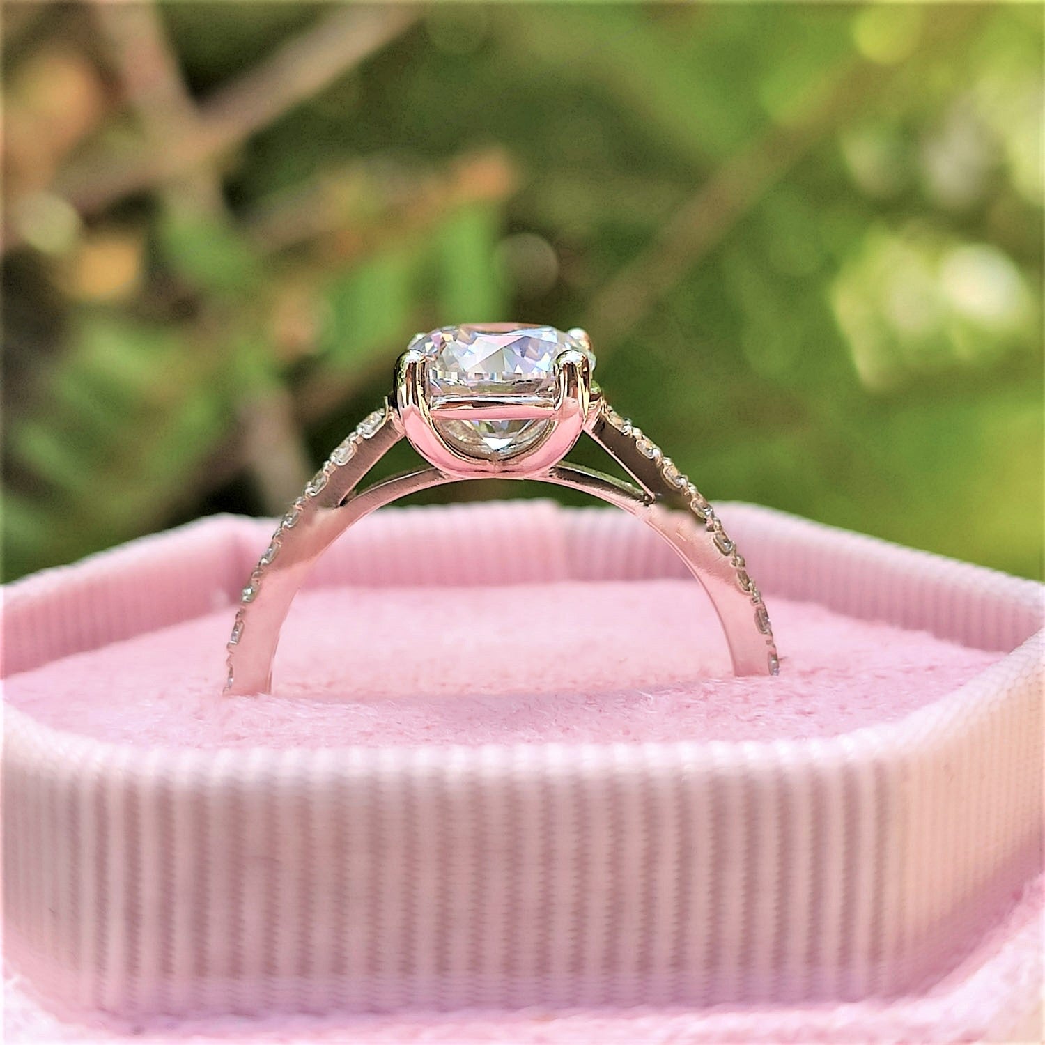 טבעת יהלומים "אלינור" זהב לבן