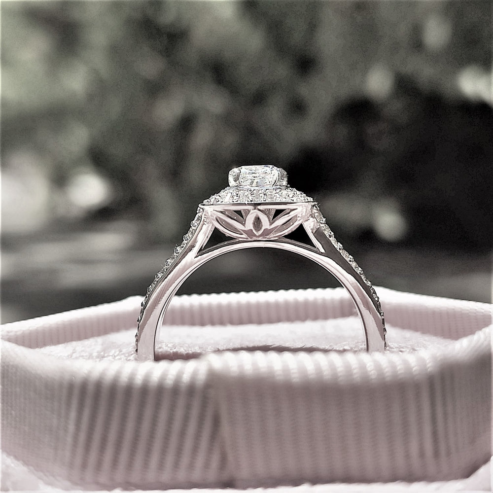 טבעת אירוסין "אלכסיס" זהב לבן