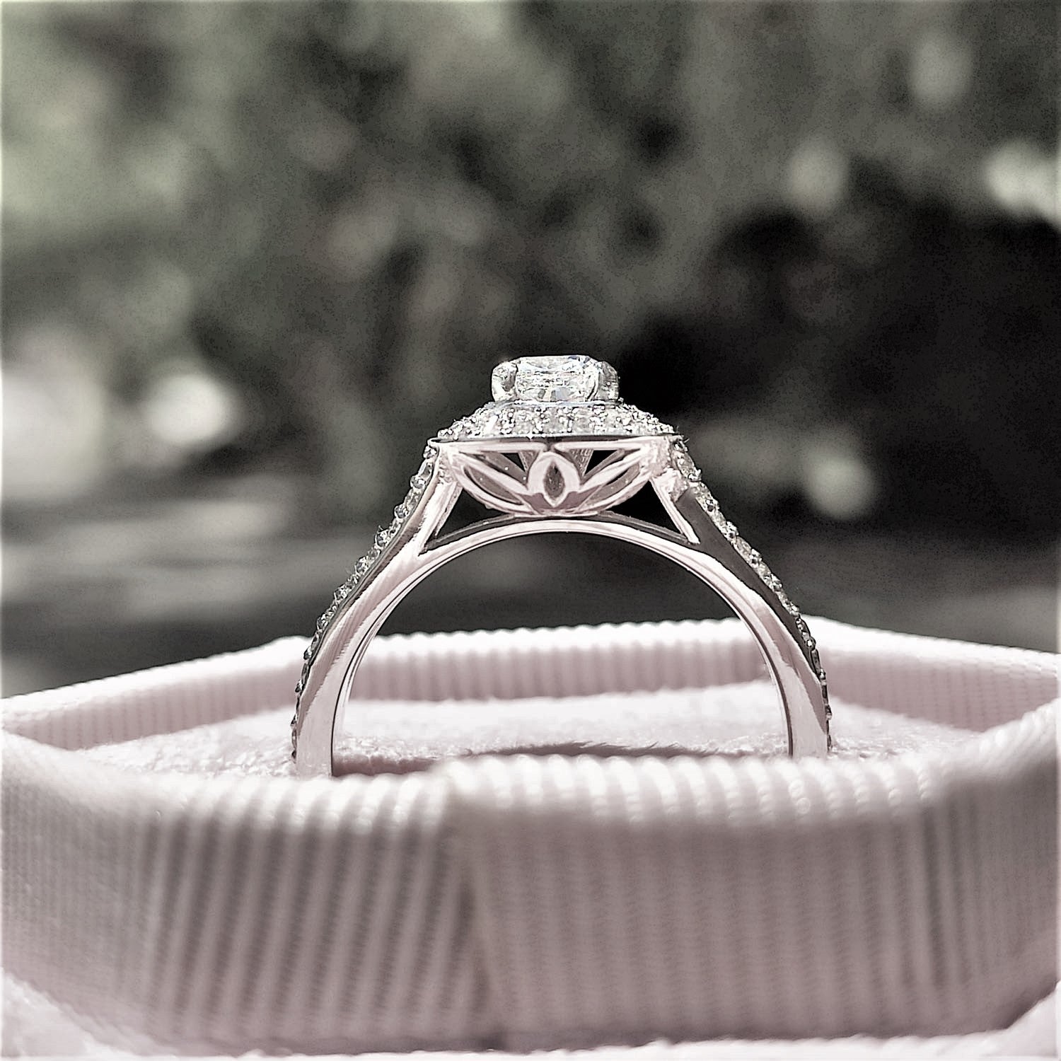 טבעת אירוסין "אלכסיס" זהב לבן