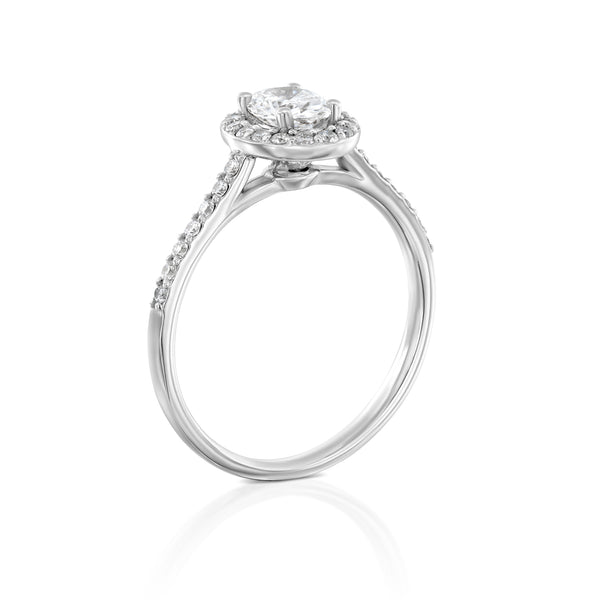 טבעת אירוסין "אוולין" זהב לבן