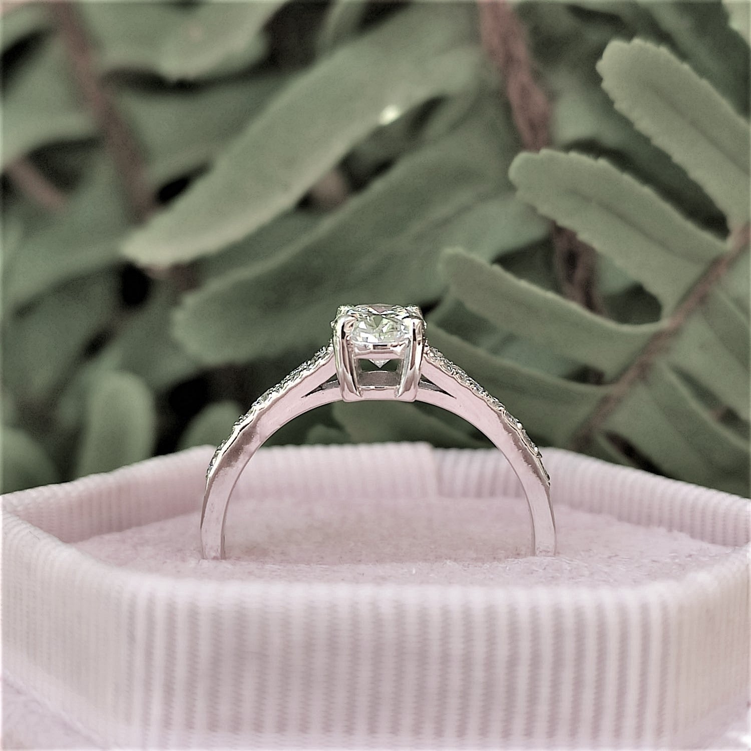 טבעת יהלום אובל "אמיליה" זהב לבן